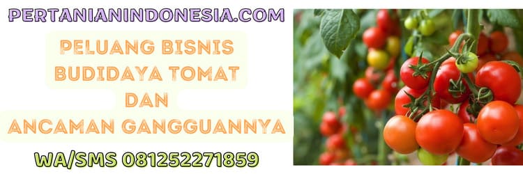 peluang bisnis,agrobisnis,agribisnis,ancaman,penyakit